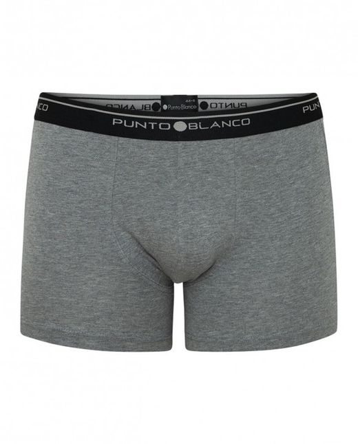 Pack boxer basix home 53438-40 punt blanc