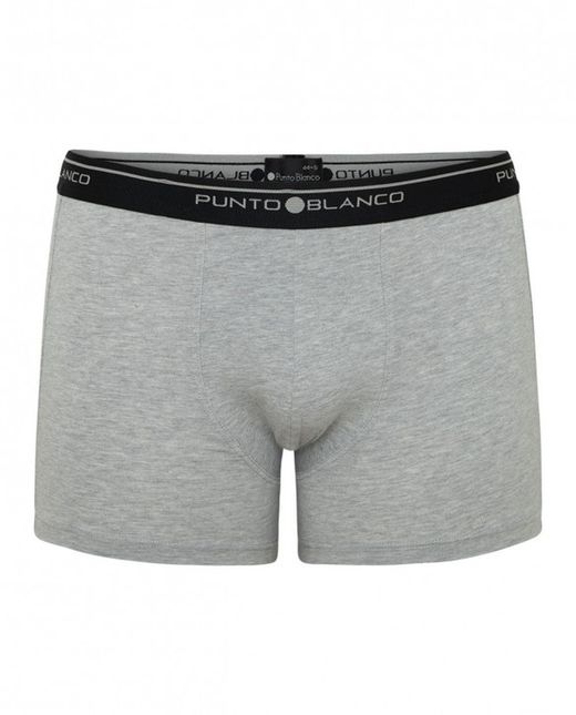 Pack boxer basix home 53438-40 punt blanc