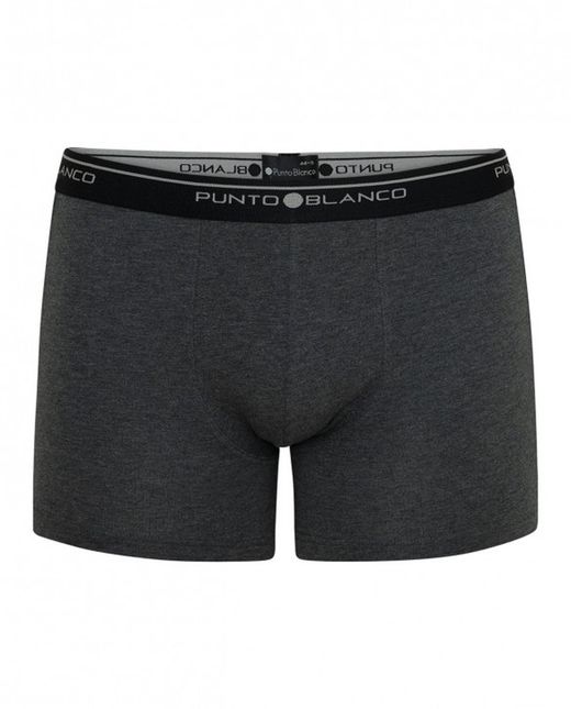 Pack boxer basix home 53438-40 punt blanc