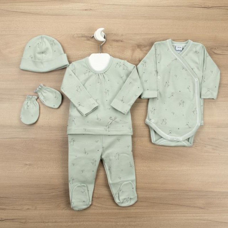 Espectacular Esmerado fluido Pack de nacimiento ropa de bebé 576 rondine babidu — CucutBcn