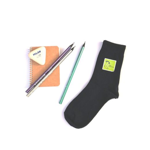 Pack of 3 pairs of short cotton school socks 1958 pocholo